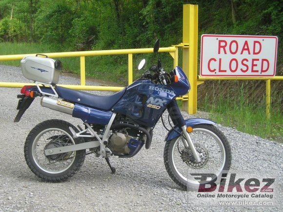 1988 Honda NX 250 photo